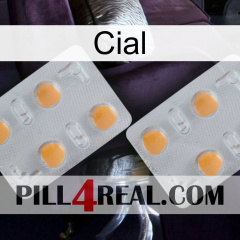Cial 25
